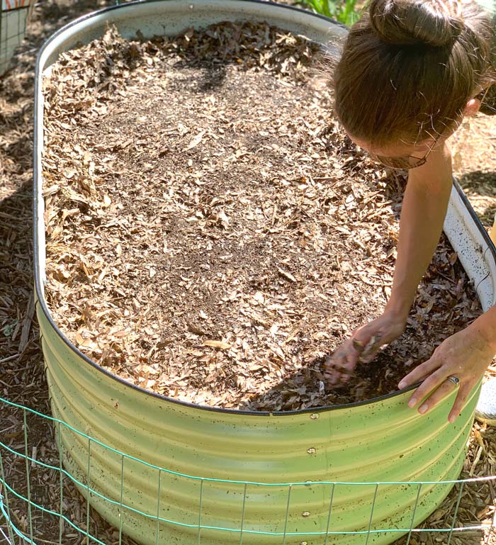 Pulling back the chopped leaves/mulch to prep for the bed transition.