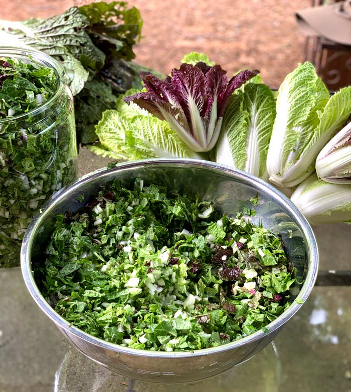 Processing Napa cabbages from our no-dig raised beds. GOOD outer leaves are used in fermentations and inner heads are used for raps, slaws, and salads. BAD outer leaves that aren't in good enough shape for human consumption are chopped and fed back to the soil in the bed they came from. 