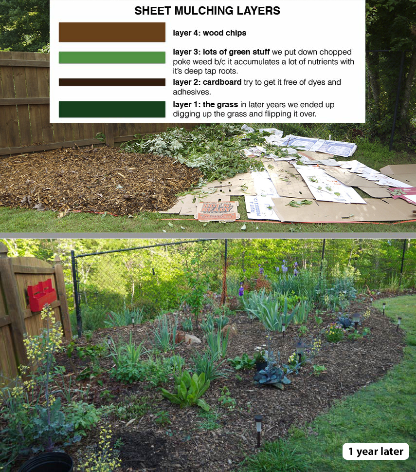 Sheet mulching, one year before and after. In this example of a slow method, we also put nitrogen-rich vegetation down on top of the cardboard under the mulch layer. 