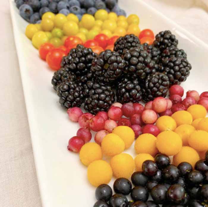 A nice plate of organically grown fruit from Tyrant Farms. Yes, there are red currant tomatoes included in this photo, but that's the last you'll hear of tomatoes in this article!