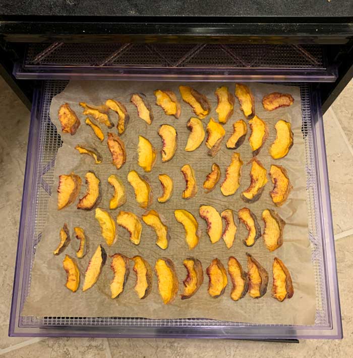 Speaking of water, peaches are mostly water so having a dehydrator to make peach chips or peach fruit leather is a great way to use up a lot of peaches.
