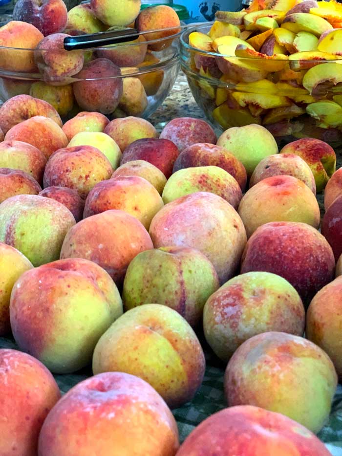 This was one day's harvest of organically grown peaches when our backyard peach tree was at peak production. 