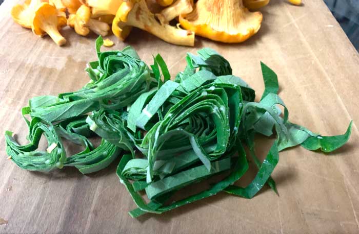 Tender young leaves of Common milkweed, thinly sliced and ready to be flash-boiled.