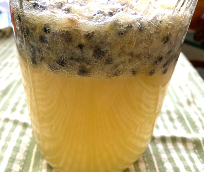 A closer look at the fruit layer as the fermentation process kicks into full gear. You can see thousands of tiny bubbles of C02 produced by the microbes, which gives the cordial a wonderful effervescence. 