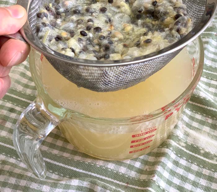 Straining seeds to make passion fruit cordial. Since this isn't a cooked recipe, you can plant every one of the seeds you have left over and grow new passion fruit vines!