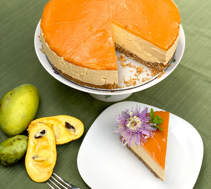 This delicious, picture perfect pawpaw cheesecake recipe had a far from perfect start. Trial and error for the win! 