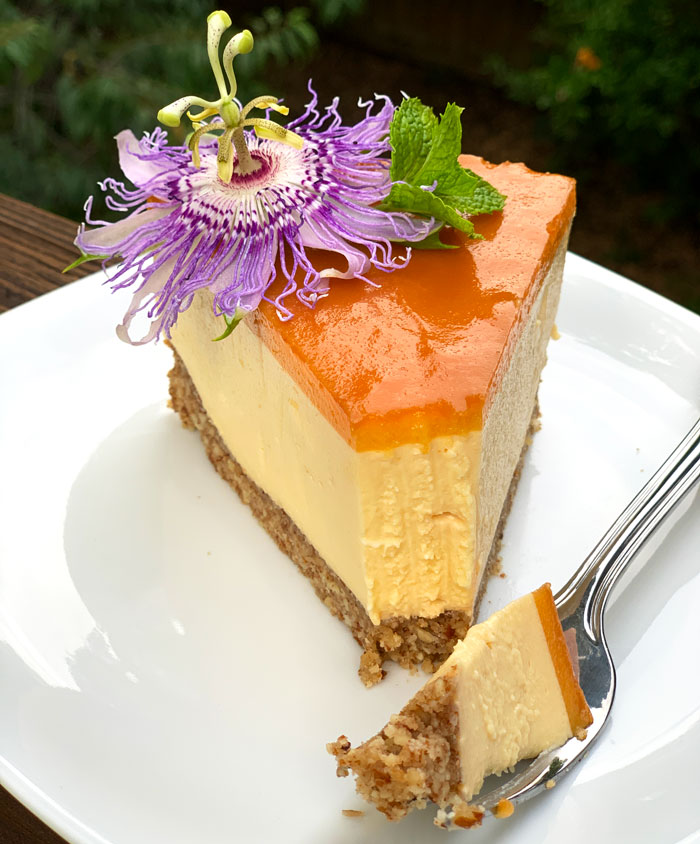 We don't think it's possible to make a tastier pawpaw dessert than this no-bake pawpaw cheesecake!