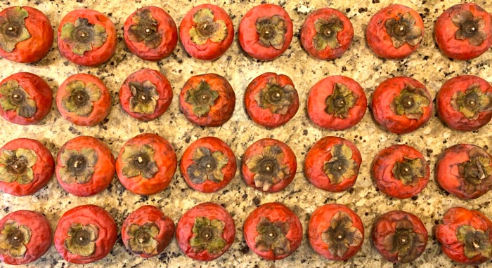 Very ripe non-astringent Asian persimmons ready to be made into persimmon butter.