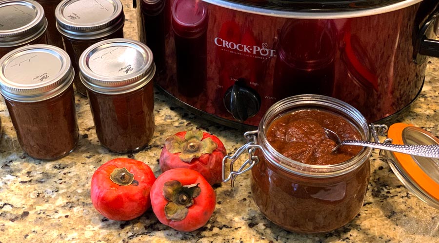 Persimmon butter with blood orange and maple syrup thumbnail