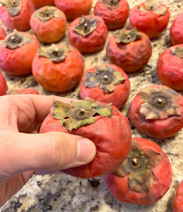 A closer look at what we mean by "squishy." To be ideal for this persimmon butter recipe, the skin and pulp on your Asian persimmons should be soft to the touch when you pick them up.