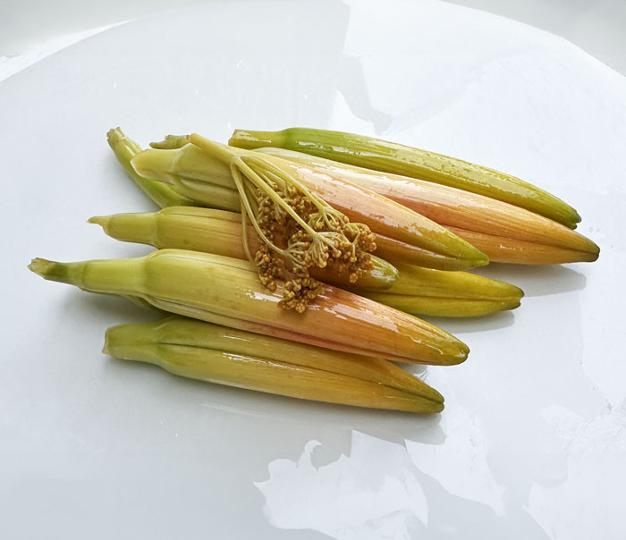 Pickled daylily flower bud recipe by Tyrant Farms.