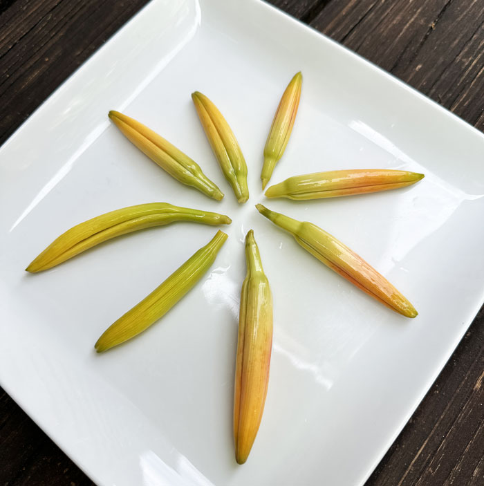 Pickled daylily flower buds - A color and flavor explosion! 