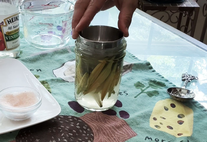 Make sure you use something to weight down your daylily flower buds or they'll float!  