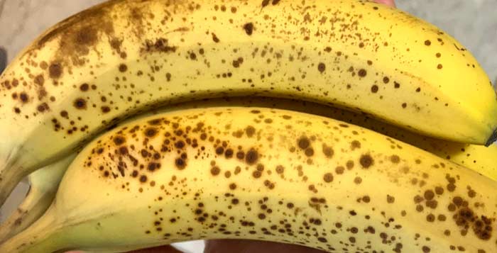 Here's the ideal level of ripeness of your banana(s) for this recipe.