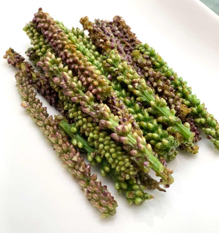 Think of broadleaf plantain seed shoots as miniature corn on the cobs!