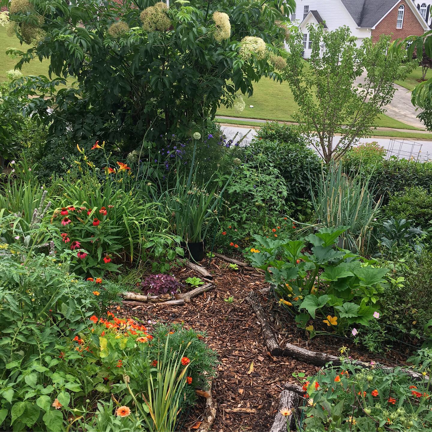 We think it's time to rethink the American yard. Your yard can provide safe habitat for countless pollinators, produce organic food for you, and sequester huge amounts of carbon. Or you can just grow grass using synthetic chemicals/pollutants.