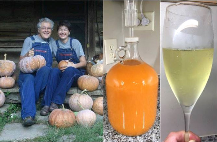This picture that Andrea sent makes us happy. From pumpkin to carboy to glass, you can see the pumpkin's transition to champagne.