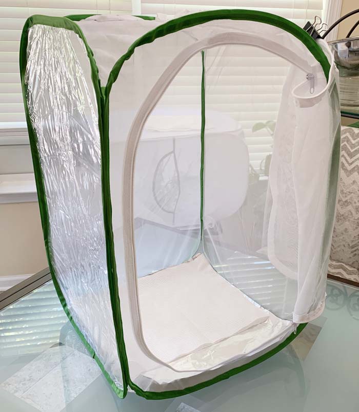 Setting up our Monarch enclosure. Foil in the bottom with paper towels on top. We keep a butterfly clip (unrelated to actual butterflies) on the top right of the door opening to hold the flap back while it's open.