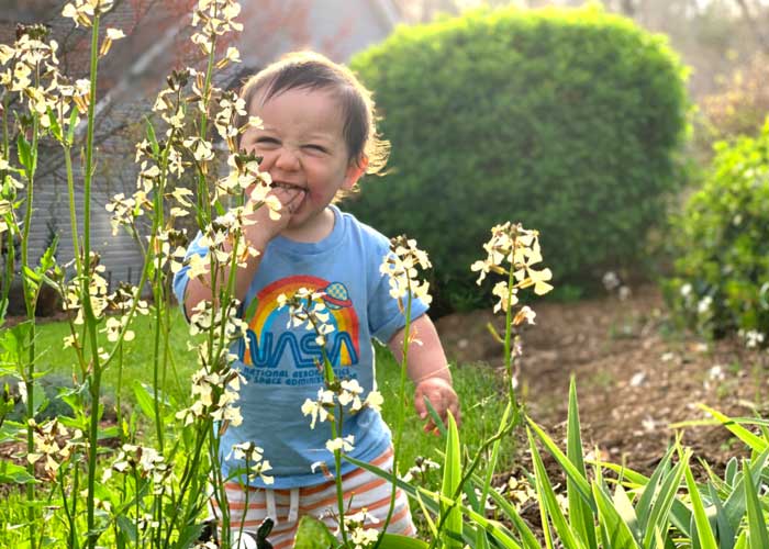 Stop and eat the flowers. Baby Sebastian happily dining on fresh arugula flowers and mulch from our yard.