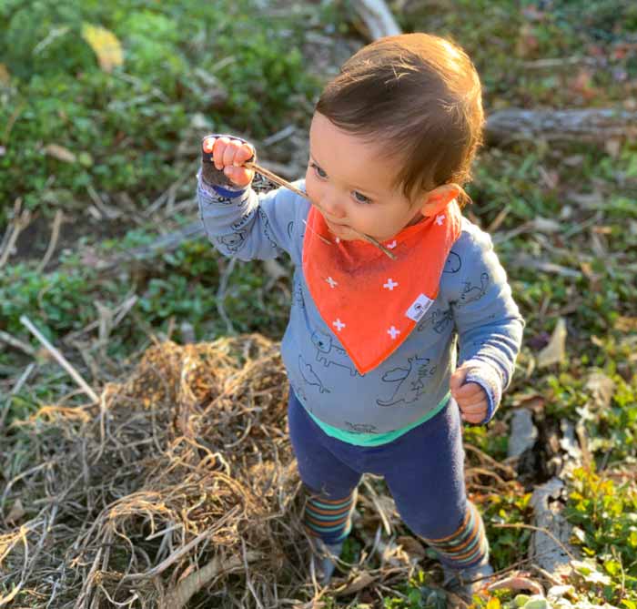 Our baby munching a freshly foraged stick. 