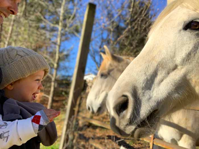 Of all the animals Sebastian has exchanged microbes with, horses may be his favorite (other than ducks, of course).