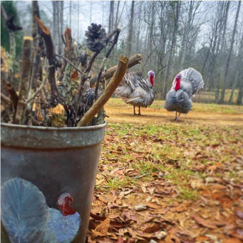 When art imitates life... Two turkeys looking statuesque on Kimberly's farm. (The painted one on the bucket isn't real!)