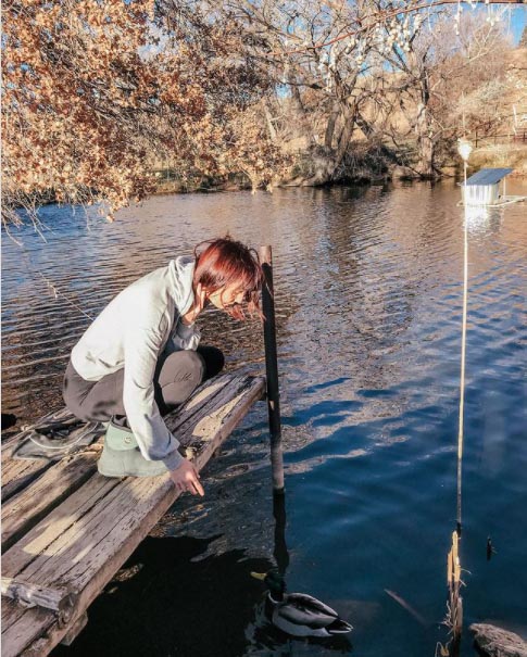 MJ at Hoof & Feather Farm welcoming Hamburgler, one of the wild Mallard ducks that regularly visits her farm.