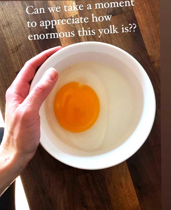 Goose egg yolk; goose egg yolk size.