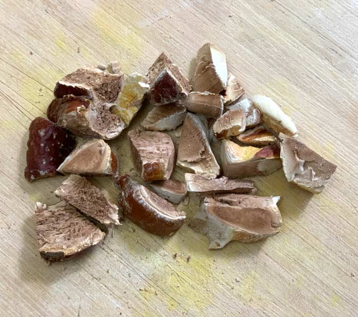 Dried, chopped reishi mushrooms. Is this folk medicine actually medicinal? 