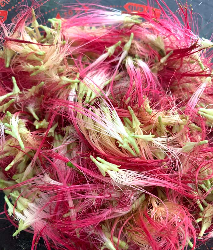 Ye, mimosa flowers are edible and they make amazing drinks. 