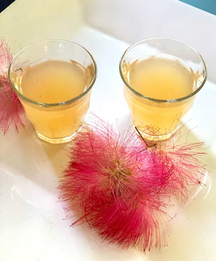 Reishi mushroom mimosa flower cordial. A delicious, medicinal health tonic. 