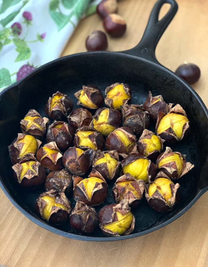 Recipe Cast Iron Pan Roasted Chestnuts On A Stovetop Tyrant Farms,Red Tail Boa For Sale