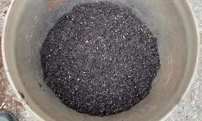 Measure and put potting soil back in pot before putting tree back in