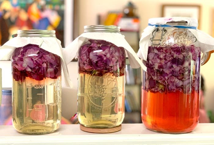 The jar on the right started 48 hours ahead of the jars on the left, and is already infused with vibrant color and rose flavor. 