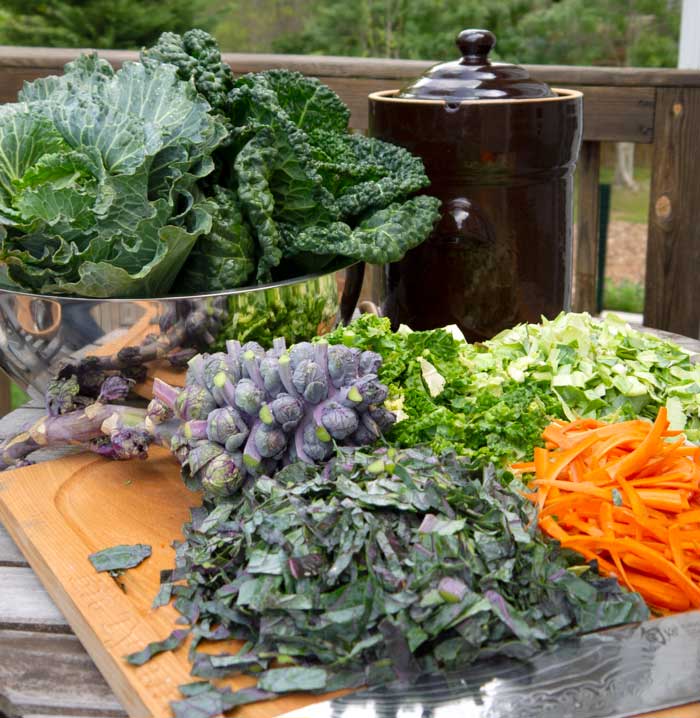 Our German fermentation crock (back right) is about to get stuffed full of garden veggies to make sauerkraut.