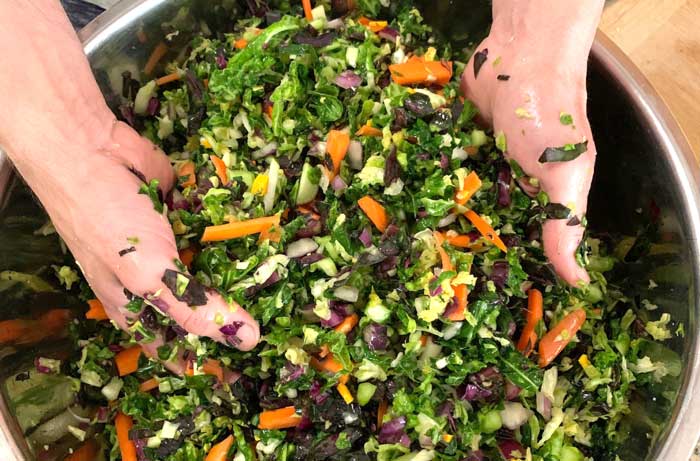 Salt massage on a large batch of sauerkraut. This is a great hand workout but it's also an essential step in making good sauerkraut.