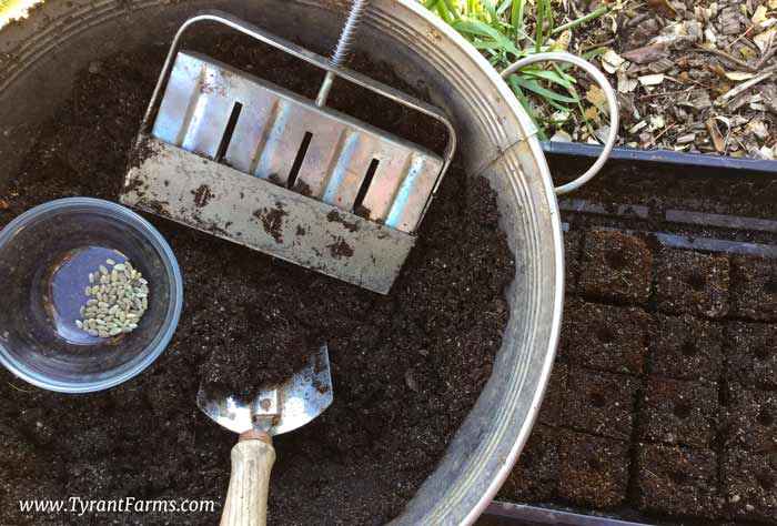 These large Ladbrooke soil blocks are perfect for starting seeds that put down long taproots, like Artichokes. Using soil blocks helps greatly reduce transplant shock.