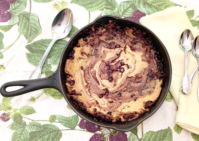 Serviceberry cobbler just out of the oven and cooling. Saskatoon, juneberry cobbler