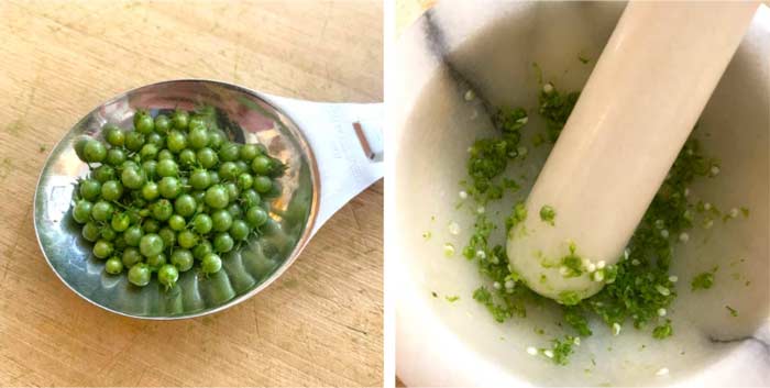 We used a little under a tablespoon of whole green cilantro berries in this recipe. 