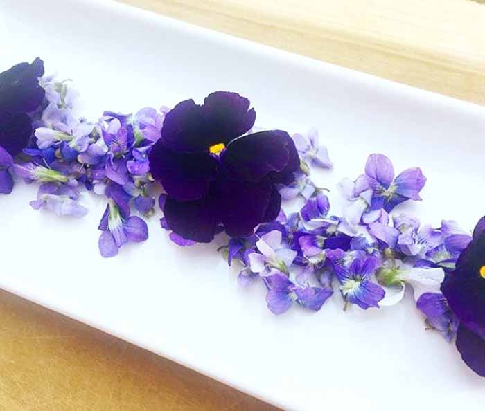 Closely related purple pansies and violas. Both plants produce edible flowers and leaves, and both can grow in part to full shade.