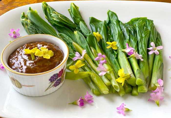 Be sure to check out our recipe for variegated Solomon's seal (left) and hosta shoots (right) served with honey-mustard-pecan butter.&nbsp;