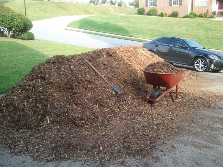 When we were originally starting our first garden, we called lots of tree service companies to see if any could drop wood chips at our house for free. This actually saves them money since they don't have to pay disposal fees at a landfill. After a few calls, we had all the free wood chips we needed to get started! How to start a garden, by Tyrant Farms