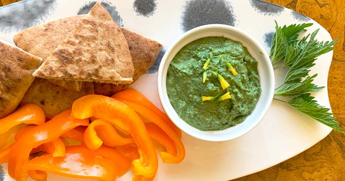 Stinging nettle dip makes a great snack, appetizer, or side dish. You can also use it as a sandwich spread.