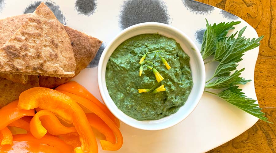 Recipe: Stinging nettle dip with labne thumbnail