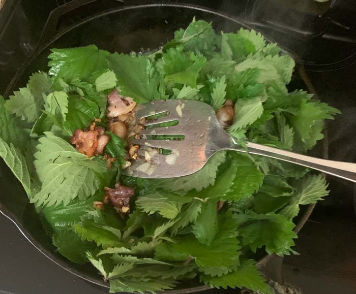 Stinging nettle leaves just added to the pan.