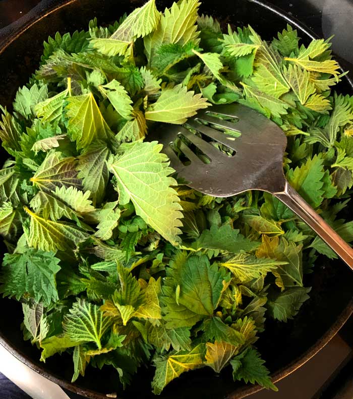 8 cups of raw stinging nettle in our cast iron skillet, about to be cooked down.