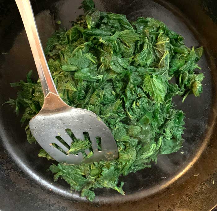 Pan wilted stinging nettles. Notice: no water in the pan AND the nettle leaves are not charred. Like all greens, nettles cook down quite a bit. 8 cups of raw leaves yielded 2 cups of cooked/wilted nettle leaves.