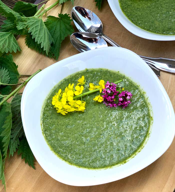 Mmm. Raw stinging nettle soup garnished with fresh edible flowers from the garden. Tastes like spring!