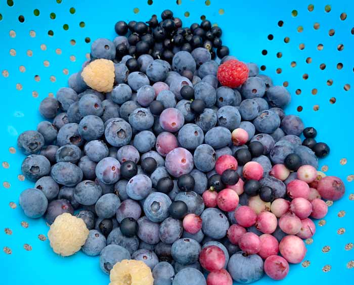 A few summer berries that make an ideal candidate for this recipe: lemonade blueberries, regular blueberries, gold and red raspberries, and wonderberries (the small black berries).