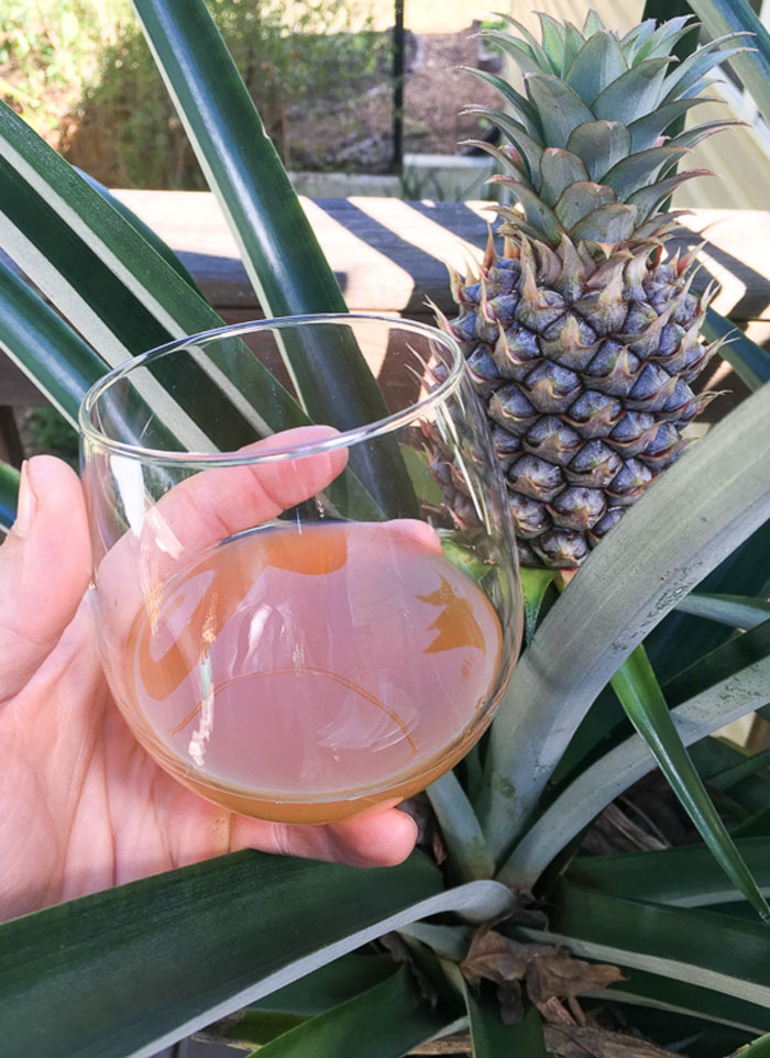 There's lots of ways to make tepache. Use our tepache recipe as a starting point for your own tepache-making experiments.